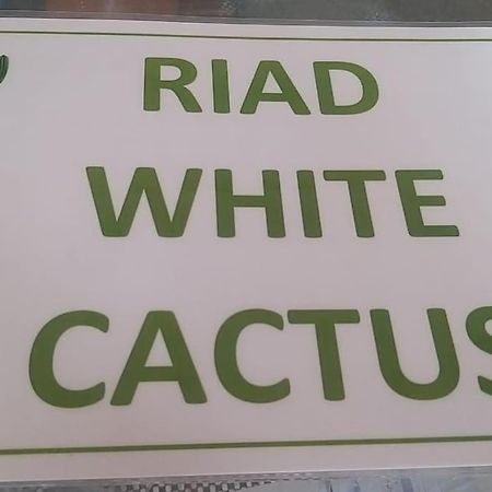 Riad White Cactus Marrakesh Extérieur photo