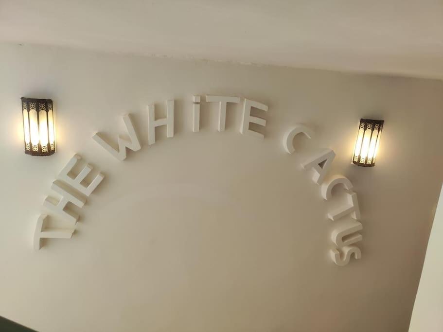 Riad White Cactus Marrakesh Extérieur photo